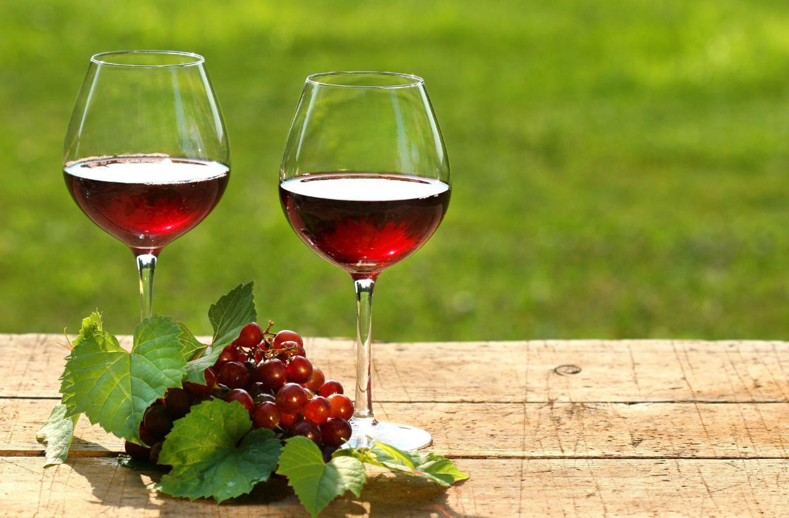 Saiba como escolher um vinho bom e barato - Blog de Culinária